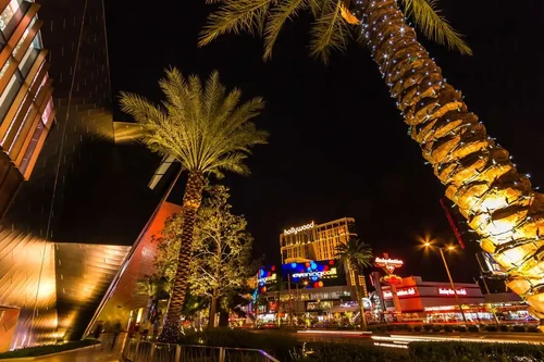 Palm trees glowing at night along the Las Vegas Strip with bright casino lights and modern buildings. 